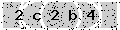 verify code