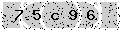 verify code