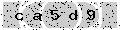 verify code