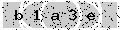verify code
