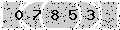 verify code