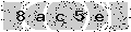 verify code