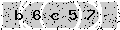 verify code