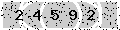 verify code