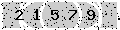 verify code