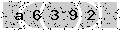 verify code