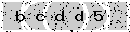 verify code