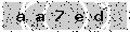 verify code