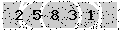 verify code