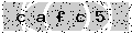 verify code
