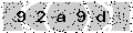 verify code