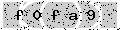 verify code