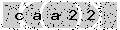 verify code