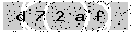 verify code