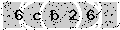 verify code