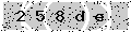 verify code