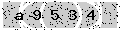 verify code