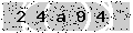 verify code