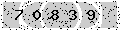 verify code