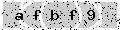 verify code