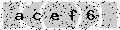 verify code