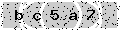 verify code