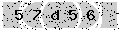 verify code