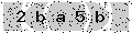 verify code