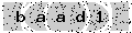 verify code
