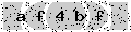 verify code