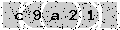 verify code