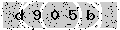 verify code
