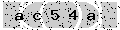 verify code