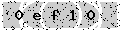verify code
