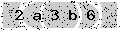verify code