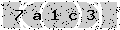 verify code