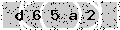 verify code