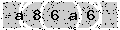 verify code