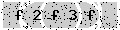 verify code