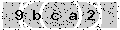 verify code