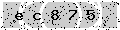 verify code