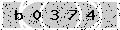 verify code