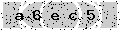 verify code