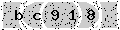 verify code