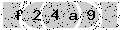 verify code