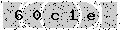verify code