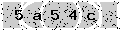 verify code