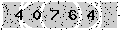 verify code