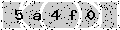 verify code