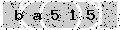 verify code